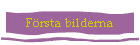 Frsta bilderna