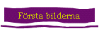 Frsta bilderna