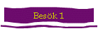 Besk 1