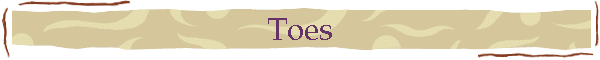 Toes