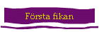 Frsta fikan